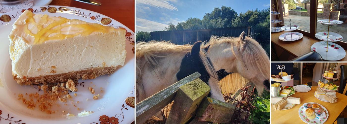 The Spotted Duck Tea Room