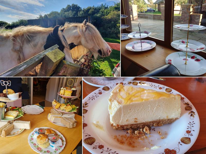 The Spotted Duck Tea Room