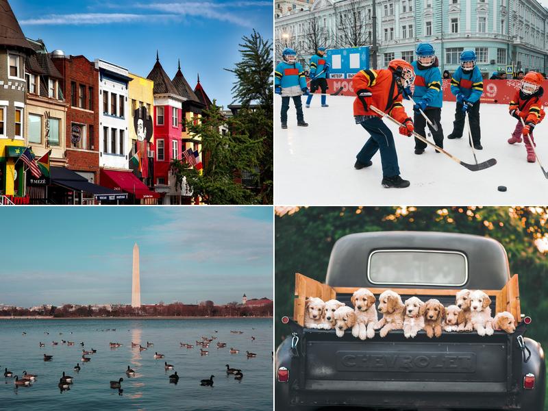 Arthur Lander CPA PC