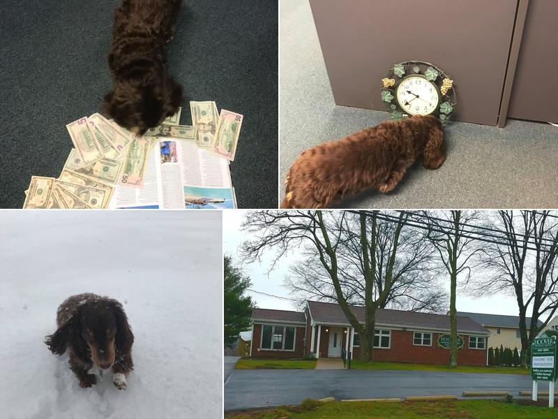 Hoover Financial Services