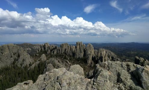 Freidel & Associates, LLC