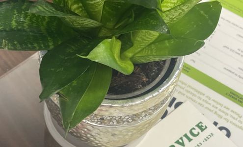 Kleitz's Tax Services