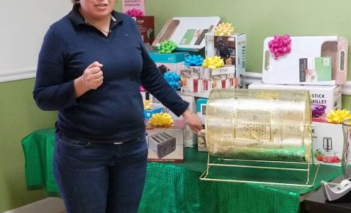 Alegria Professional Services