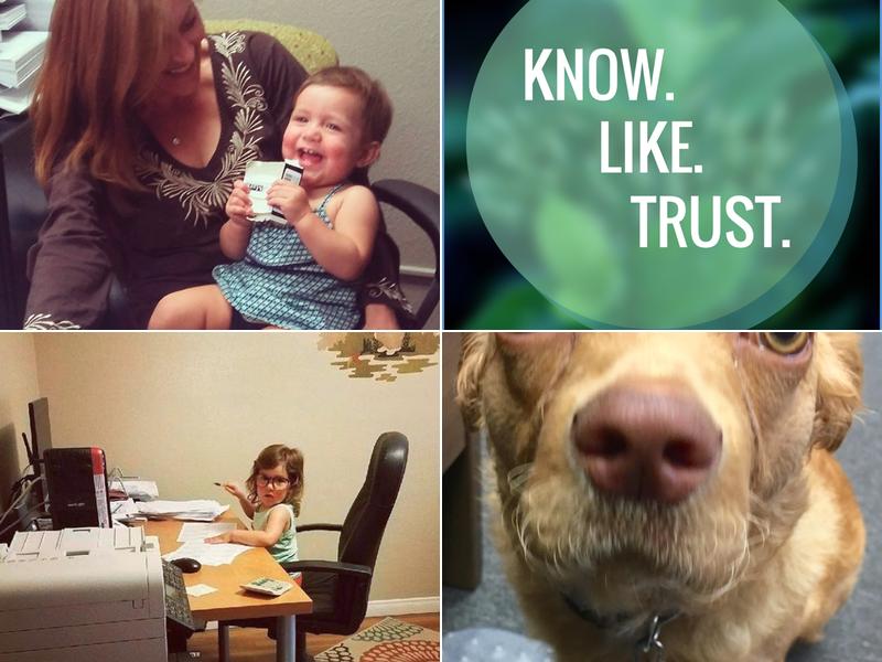 Gemini Professional Services, Inc.