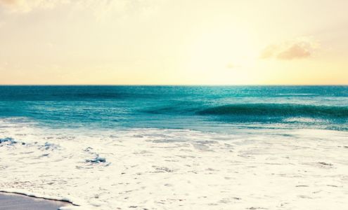 Cindy C Woodward Bookkeeping Aynor