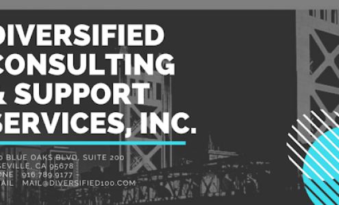 Diversified Consulting & Support Services, Inc (BY APPOINTMENT ONLY)