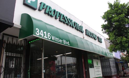 Professional Income Tax Services