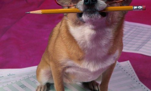 Handy Tax & Bookkeeping Services