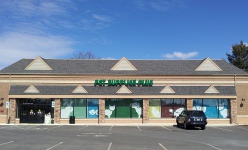 Pet Supplies Plus Bedford