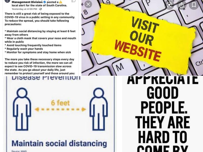 Joseph R Castellano CPA