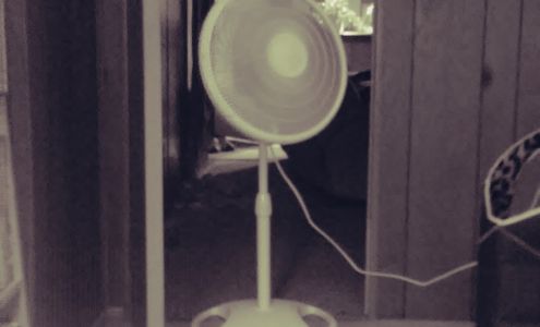 Wright Tax Services LLC Goldsboro