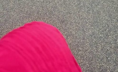 Palmetto Express Tax