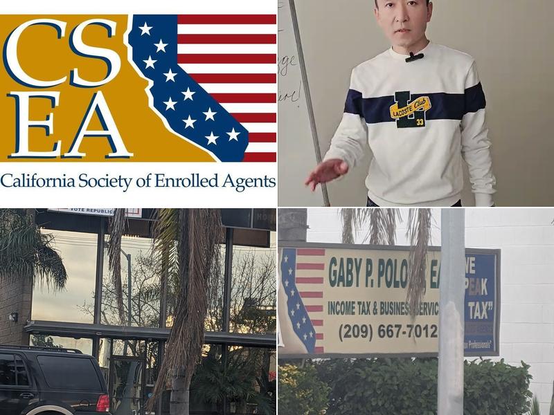 Polous Business Services