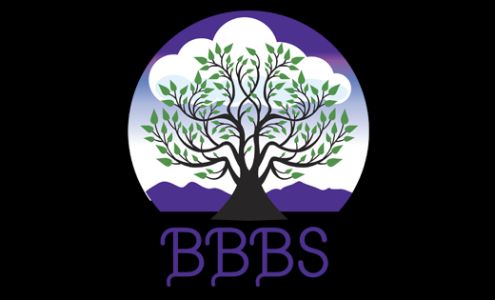 Book Busters Bookkeeping Services