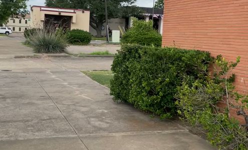 Mc Coy Michael E CPA