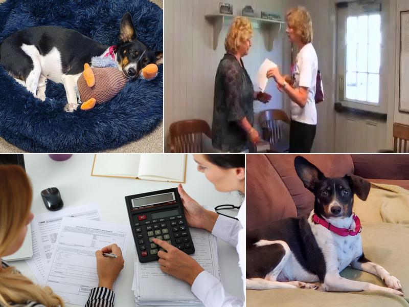 Diana M. Reed & Associates, PC