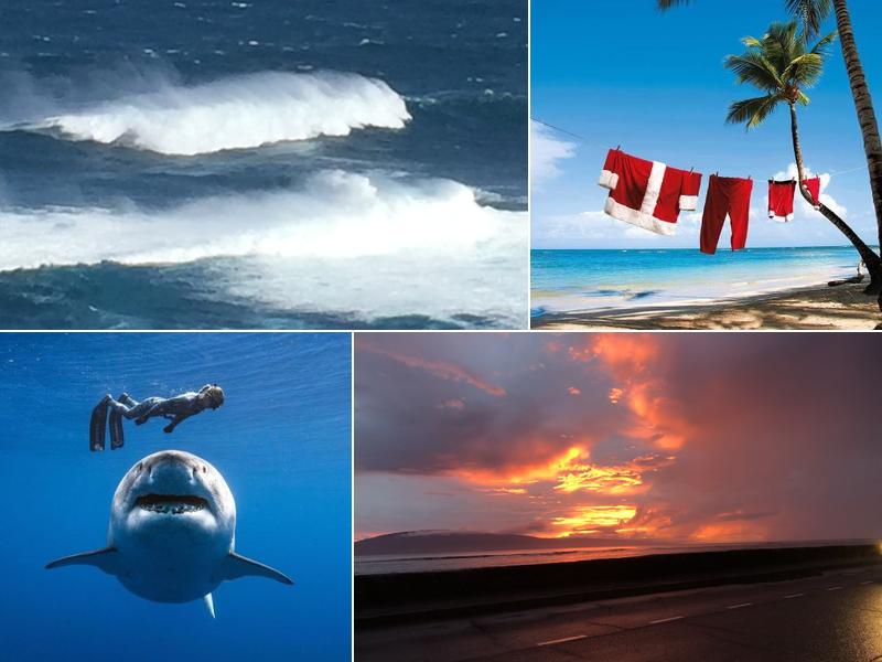 The Integer Company-David W Ristau CPA