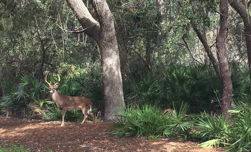 Your Accountant My Accountant