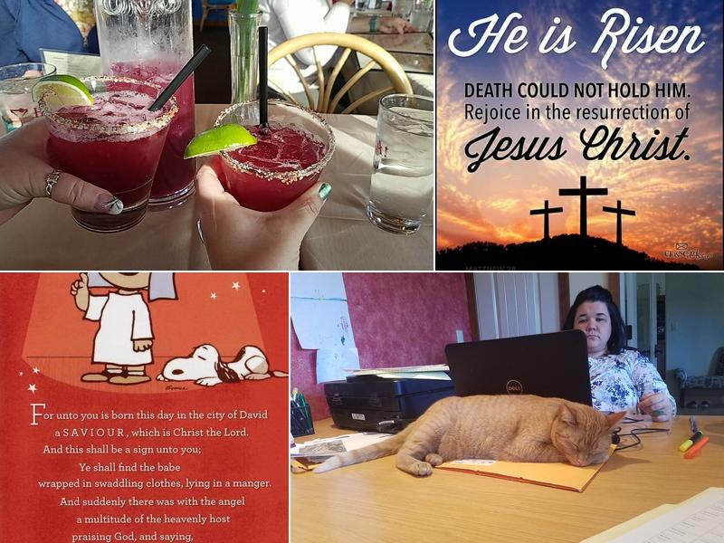 Number Crazy Tax & Bookkeeping