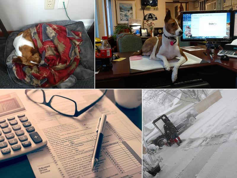 Svoboda Accounting & Tax Service