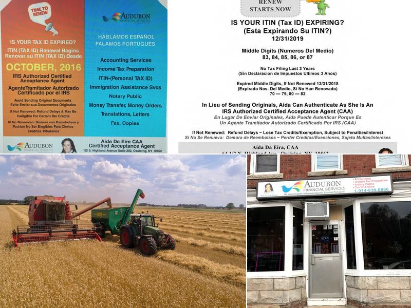 Audubon Financial Services