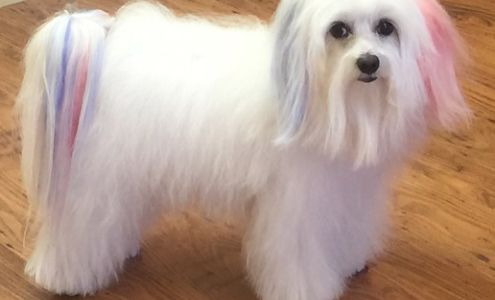 Affordable Accounting LLC