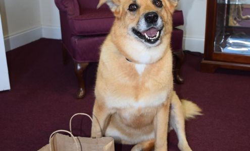 Georgia Mortgage Services Inc