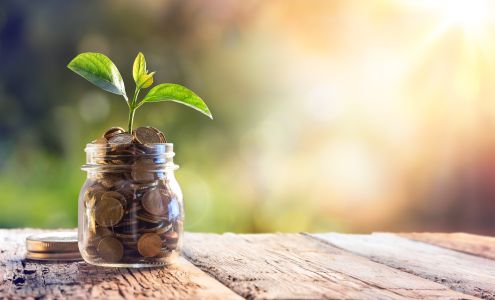 Trudy A. Taylor, CPA