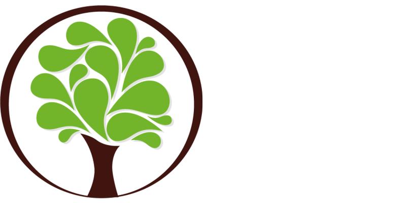 SOLOMON CPA's & Financial Services