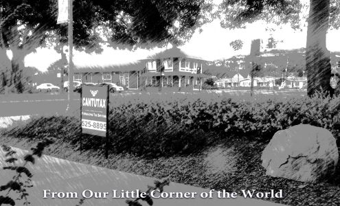 CANTUTAX Santa Paula