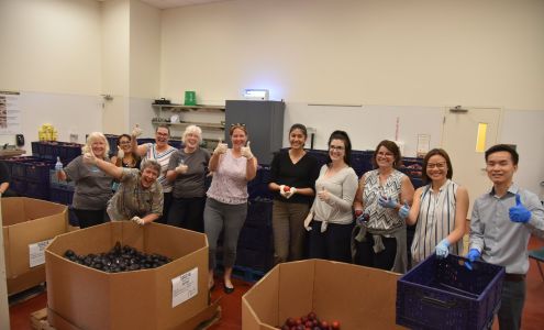 Dillwood Burkel & Millar