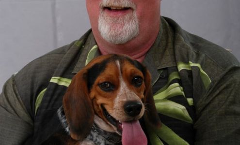 Mc Ginnis Michael E CPA