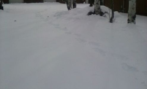 Kaye's Tax & Accounting Services Durango