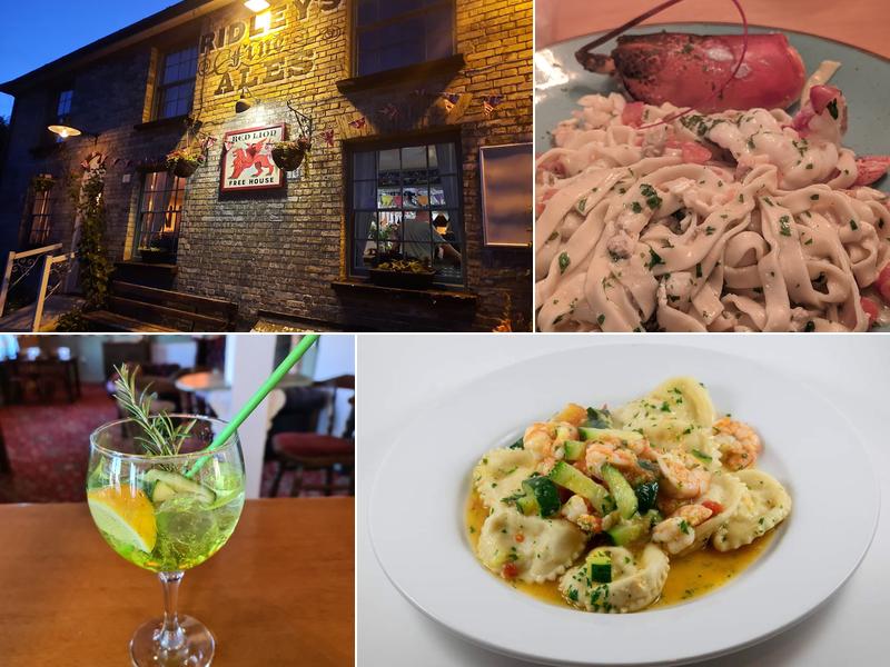 The Red Lion Great Sampford