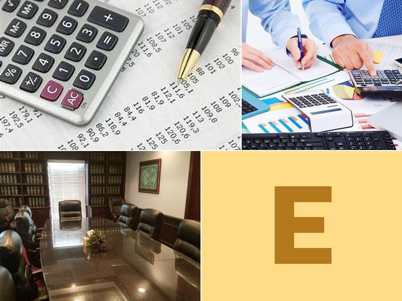 Eric J Fernandez & Co