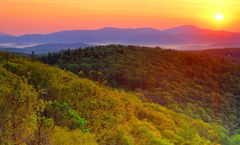 Douglas L Berry Accounting Services 308 W Spotswood Ave, Elkton Virginia 22827