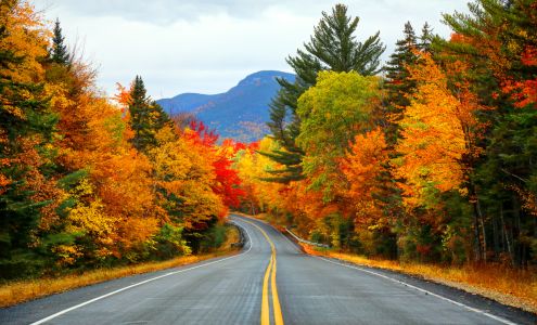 Diamond Income Tax Davison