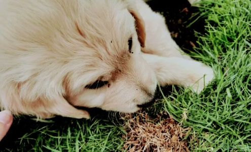 Miedema's Bookkeeping & Tax