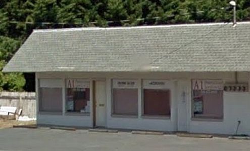 A 1 Professional Services LLC