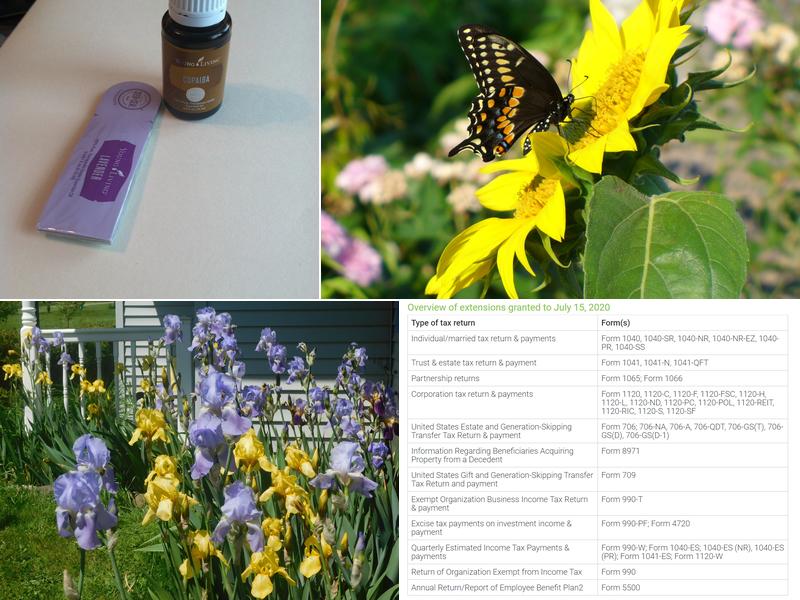 Rebecca M. Shull, CPA