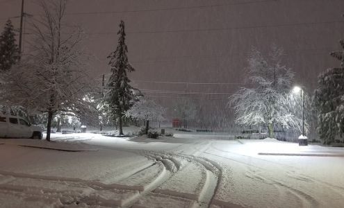 Warren Tax & Consulting