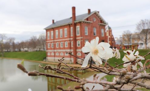 Erock Tax + Financial Planning