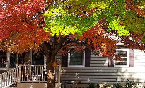 Customized Computer Accounting, Inc.