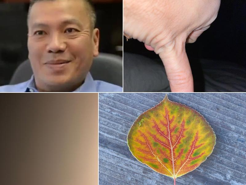 Safe Harbor CPA and Accountants