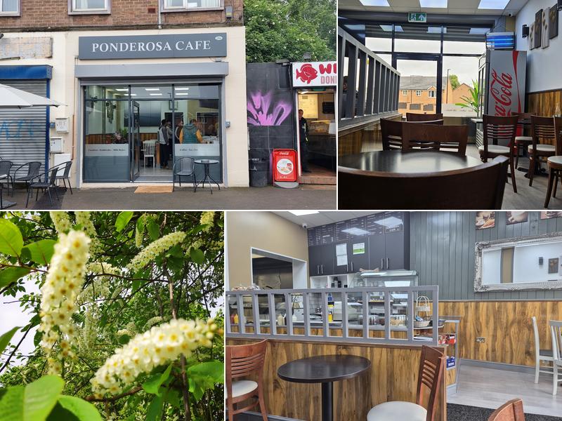 PONDEROSA CAFE