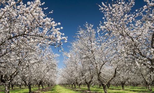 Dritsas Groom McCormick LLP