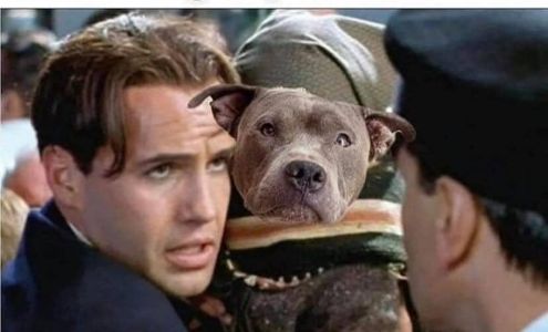 Vickie C. Richardson, CPA, PSC