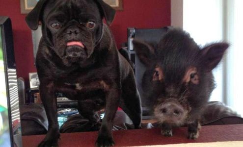 Walter S Sanders & Associates