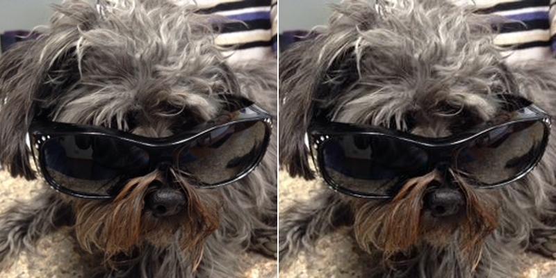 S F Gilstrap CPA Inc