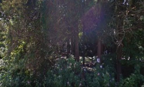 Jefferys & Associates